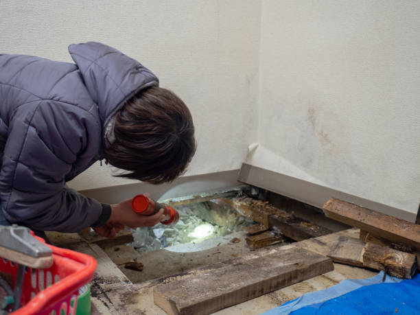 Best Biohazard Mold Removal  in Manning, SC