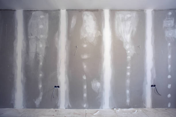 Mold Odor Removal Services in Manning, SC